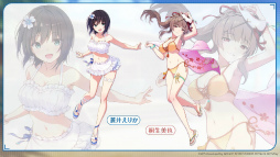 ꡼ No.040Υͥ / ˥塩֥إ֥Х3.5thեݡȡڡ緿åץǡȾޤȤ