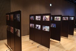 ꡼ No.011 | ֥ȥꥣפθ餫ˤʤäޤȤƾҲ𡣥ȡ꡼٥Ȥ俷⡼ɤ³о