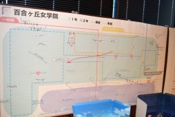 ꡼ No.015 | ֥ȥꥣפθ餫ˤʤäޤȤƾҲ𡣥ȡ꡼٥Ȥ俷⡼ɤ³о