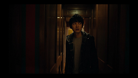 ꡼ No.005Υͥ / Death Come TrueפΥƥࡼӡڤ֥󥬥ѡץ꡼֥֥쥤פιĲ˻᤬ô뤳Ȥ餫