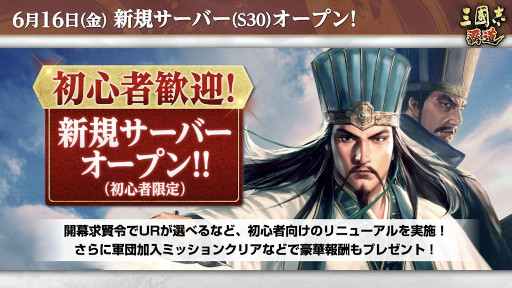 ꡼ No.013Υͥ / ֻԢ ƻס쥢ƥΡLRפŷ1300ĥϤо