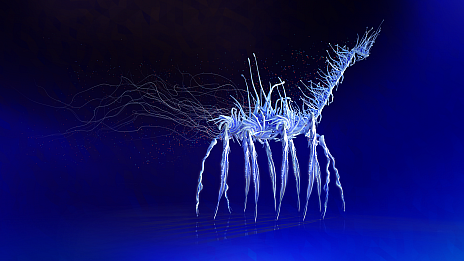 ꡼ No.008Υͥ / PS VRեȡ֥ڡѡӡȡܸǤۿǾޤ줿ַϤѥ륢ɥ٥㡼