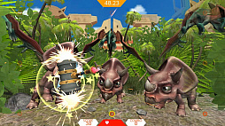 ����饷�å�����������