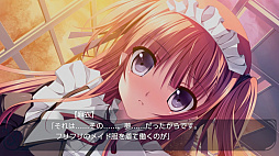 恋する乙女と守護の楯〜薔薇の聖母〜