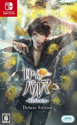 ���������꡼ No.002�Υ���ͥ������ / Switch�ǡּ����Υѥ�� Refrain�פ�������꡼�������ץ��󥫥ե��ȤΥ���ܥ��å��Υ饤��ʥåפ������