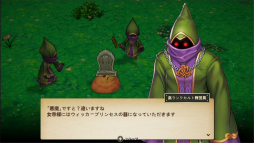 ꡼ No.029Υͥ / رե󥿥RPGˤ߽Ф륨ࡣ֥륷ꥢ  ҡ륹ȡ꡼ץץ쥤ݡ