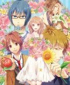 �ѥå�����