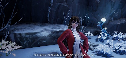 ���������꡼ No.006�Υ���ͥ������ / �֥����ɡ��ɥ饴��֥�åɡ׻˾�Ƕ�����֡�̴�Ӥ���꡼������������ʹ�ξ���������