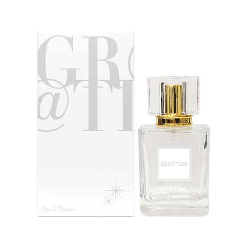 ꡼ No.006 | ֥ɥޥ åȥפγڶʤ򥤥᡼夬о졣ͽդ򳫻