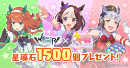 ꡼ No.002 | ֥ɥեåѡס֥̼פȤΥܥ٥ȡɤ餰Υ˥塼ȡɤ鳫