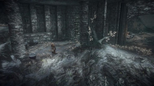 ꡼ No.005 | ֥ѥ륺㡼סΥʤˡȱܥؤĩˡ