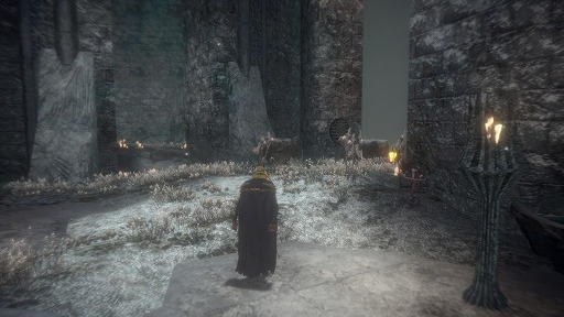 ꡼ No.008 | ֥ѥ륺㡼סΥʤˡȱܥؤĩˡ