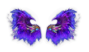 ���������꡼ No.006�Υ���ͥ������ / �֤��䤫���ä��쥳���ɡפǿ��ճ������ڥ���륤�٥�Ȥ�12��30����곫��