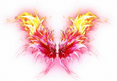 ꡼ No.006 | ֤䤫ä쥳ɡפǸåȡȥåɳ٥Ȥ