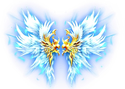 ���������꡼ No.006�Υ���ͥ������ / �֤��䤫���ä��쥳���ɡס��������ȥ����ե��å��ɤ�3�Το��弰�����о�