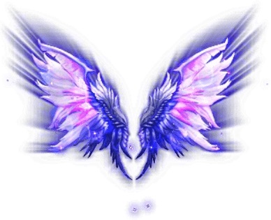 ���������꡼ No.003�Υ���ͥ������ / �֤��䤫���ä��쥳���ɡפ˿��������åȡ���ư�ζ���ԡɤ��о�