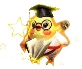 ���������꡼ No.005�Υ���ͥ������ / �֤��䤫���ä��쥳���ɡס����ش����٥�Ȥǿ������ȥ��顦�ѥ����åȡ��о�