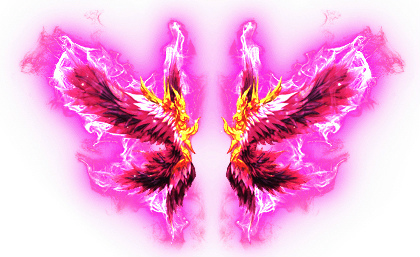 ���������꡼ No.003�Υ���ͥ������ / �֤��䤫���ä��쥳���ɡס��Х�󥿥��󥤥٥�Ȥ򳫺�