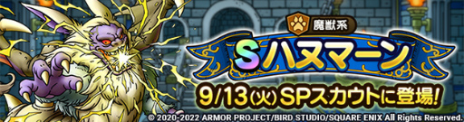 ���������꡼ No.005�Υ���ͥ������ / �֥ɥ饯�������ȡס�����30Ϣ̵����W������դ���2022SW�����SP�������ȡɤ��о�