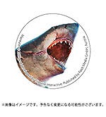 ꡼ No.003 | ᥲManeaterסPS4/PS5ǥѥåŹ̥ꥸʥŵ