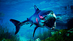 ���������꡼ No.003�Υ���ͥ������ / �ȥ���RPG�ɤ��ȡ�Maneater�����Ԥ�DLC��Truth Quest�ɤ��Ͽ����PS4�ǥѥå�������12��22���˥�꡼���ء�ȯ�����DL�Ǥ�ꤪ��