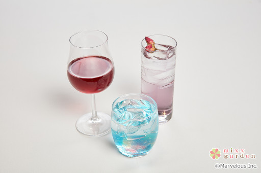 ꡼ No.012 | ƻRmixxgardenܥե׸ȾΥܥ˥塼&å䳫Ϥ