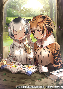 画像ギャラリー No.012のサムネイル画像 / 「けものフレンズ3」☆4“コンゴウインコ”が登場。イベント“体力測定 コンゴウインコ編”を開催