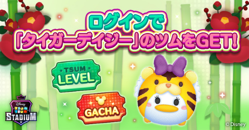 ꡼ No.001Υͥ / ֥ĥॹץǥо䡤ܡʥξ󤬸