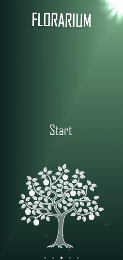 ���������꡼ No.001�Υ���ͥ������ / ��ʪ���Ƥ�ޥå�3�ѥ����Florarium�פ�Ҳ𤹤�֡ʤۤܡ��������ޥۥ������̿�����2254��