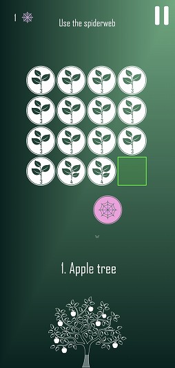 ���������꡼ No.007�Υ���ͥ������ / ��ʪ���Ƥ�ޥå�3�ѥ����Florarium�פ�Ҳ𤹤�֡ʤۤܡ��������ޥۥ������̿�����2254��