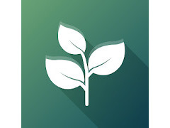 ��ʪ���Ƥ�ޥå�3�ѥ����Florarium�פ�Ҳ𤹤�֡ʤۤܡ��������ޥۥ������̿�����2254��