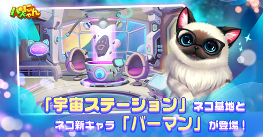 ���������꡼ No.002�Υ���ͥ������ / �֥ѥ��ˤ��פ˥ѥ���ᥤ�󥹥ơ����֥ͥ��Ρפȡּ��ƽ�פ��ɲá�����˱���ơ��ޡ֥ͥ����ϡפ��о�