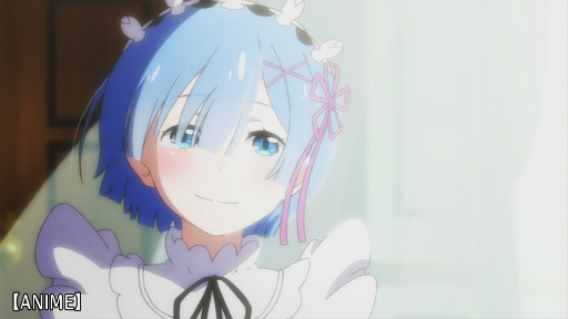 ���������꡼ No.016�Υ���ͥ������ / �֥ꥼ�����פ��ۿ�1��ǯ����ǰ�����ڡ����������缡����