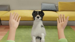 画像ギャラリー No.005のサムネイル画像 / PC向け愛犬育成シミュレーション「Dog Trainer」が配信決定。トレーニング風景を収録したティザートレイラーを公開