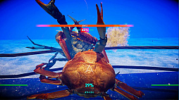 ꡼ No.005 | ϵǶΥˤ֥˥Υ -Fight Crab-פΥץ쥤ݡȤϤͷӱ䡤ˡ