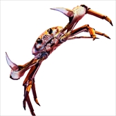 ꡼ No.008 | Steamǡ֥˥Υ -Fight Crab-פۿȡˤˤ臘3D異󥲡