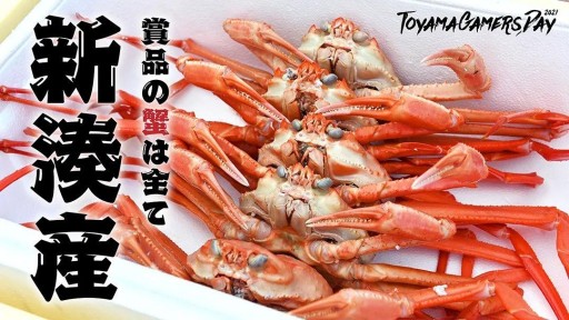画像ギャラリー No.003のサムネイル画像 / ToyamaGamersDay 2021でゲームイベント「カニゲーム」開催。競技タイトルは当日発表
