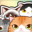 �ѥå�����