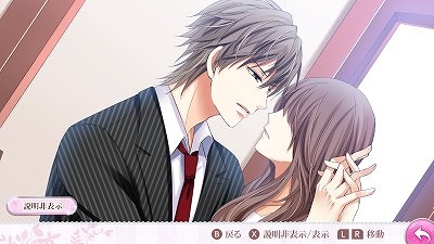 ���������꡼ No.004�Υ���ͥ������ / �������ɥ٥���㡼�־�ʤ���̩��2LDK�פ�Nintendo Switch���ۿ���������