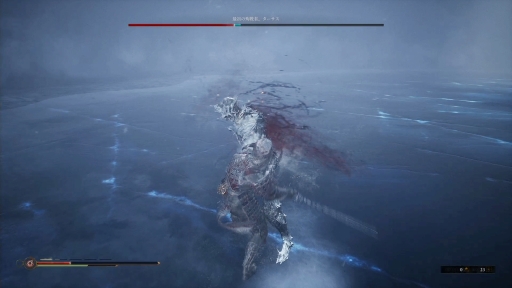 ���������꡼ No.028�Υ���ͥ������ / ������饤���ʥ���������������Mortal Shell�פ�ץ쥤�������빶����ɤ��ȹŲ��ɤ�褫����������Ũ�Ȥλ�Ʈ��ĩ��