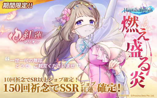 ꡼ No.005Υͥ / ֥ޥʥաסեƥХ٤Ҥ