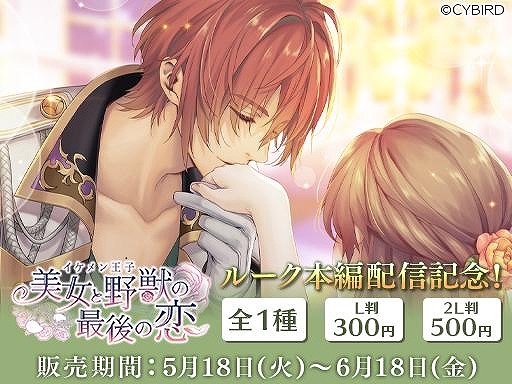 ꡼ No.006 | ֥󲦻ҡס8ҡȥ롼=ɥաɤԥȡ꡼ۿ