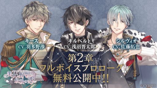 ꡼ No.002 | ֥󲦻 äκǸ2ϤΥץ饯3ͤо