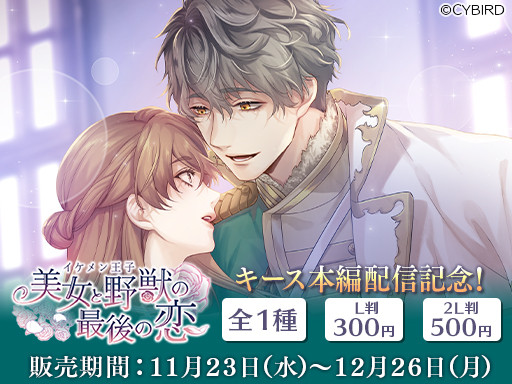 ꡼ No.003 | ֥󲦻 äκǸץϥԥȡ꡼ۿ