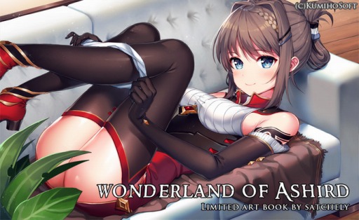 ���������꡼ No.005�Υ���ͥ������ / ����ߥ�졼�����RPG����ФΥ������ ��War of Ashird���פγ�ȯ�����륯�饦�ɥե���ǥ��󥰤���������