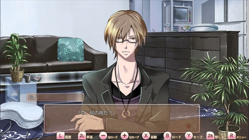 ꡼ No.002 | ɥ٥㡼֥ҥߥĤν˻ҡפSwitchǤȯ