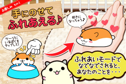 �ϥॹ�������쥯�����