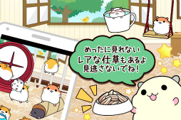 �ϥॹ�������쥯�����