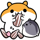 �ѥå�����