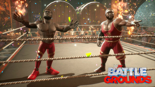 ���������꡼ No.005�Υ���ͥ������ / ��WWE 2K �Хȥ륰�饦��ɡץ�å����ե쥢���ʤɥ쥸����������������